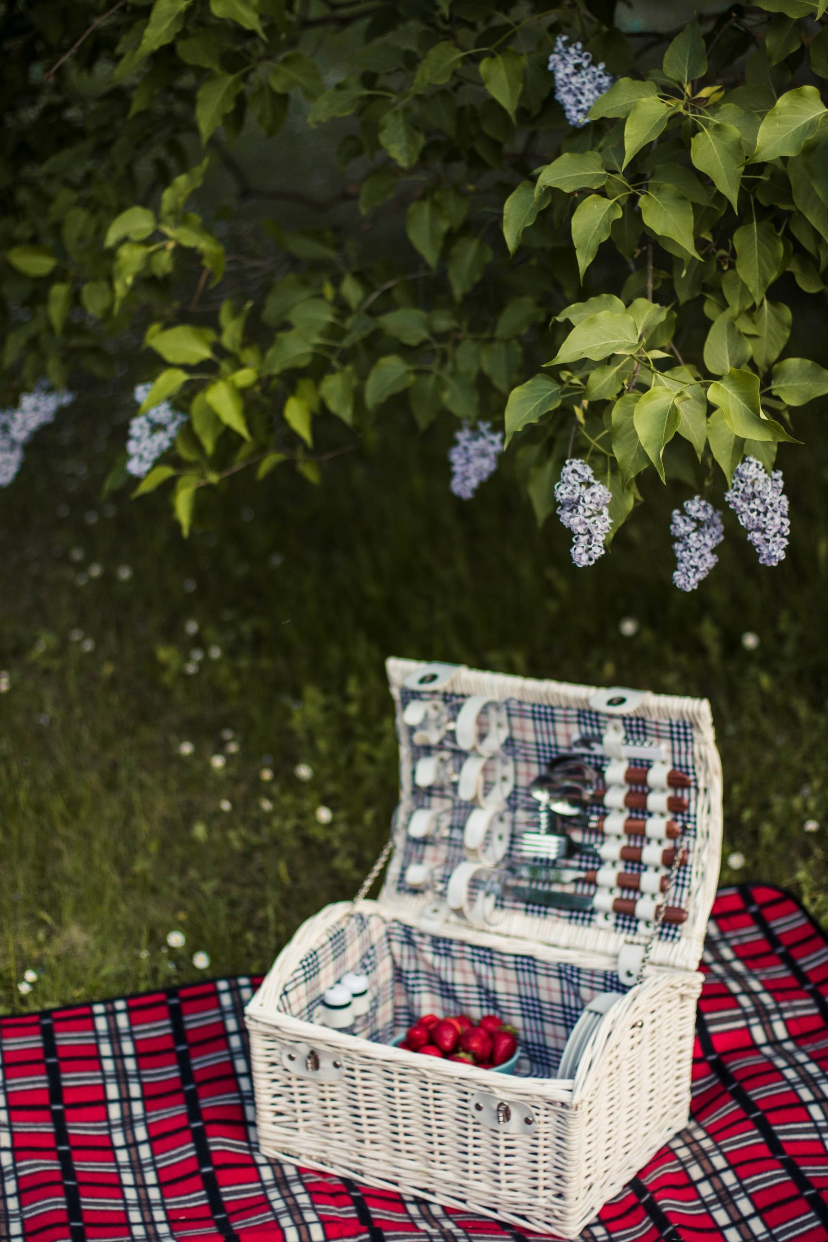 Picnic basket