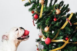 12 Days Of Christmas More Expensive This Year