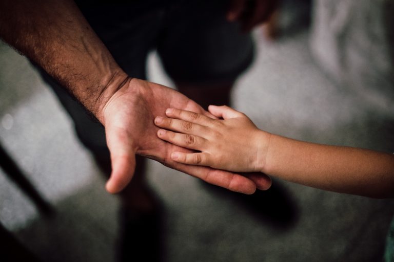 Grown up hand and child hand