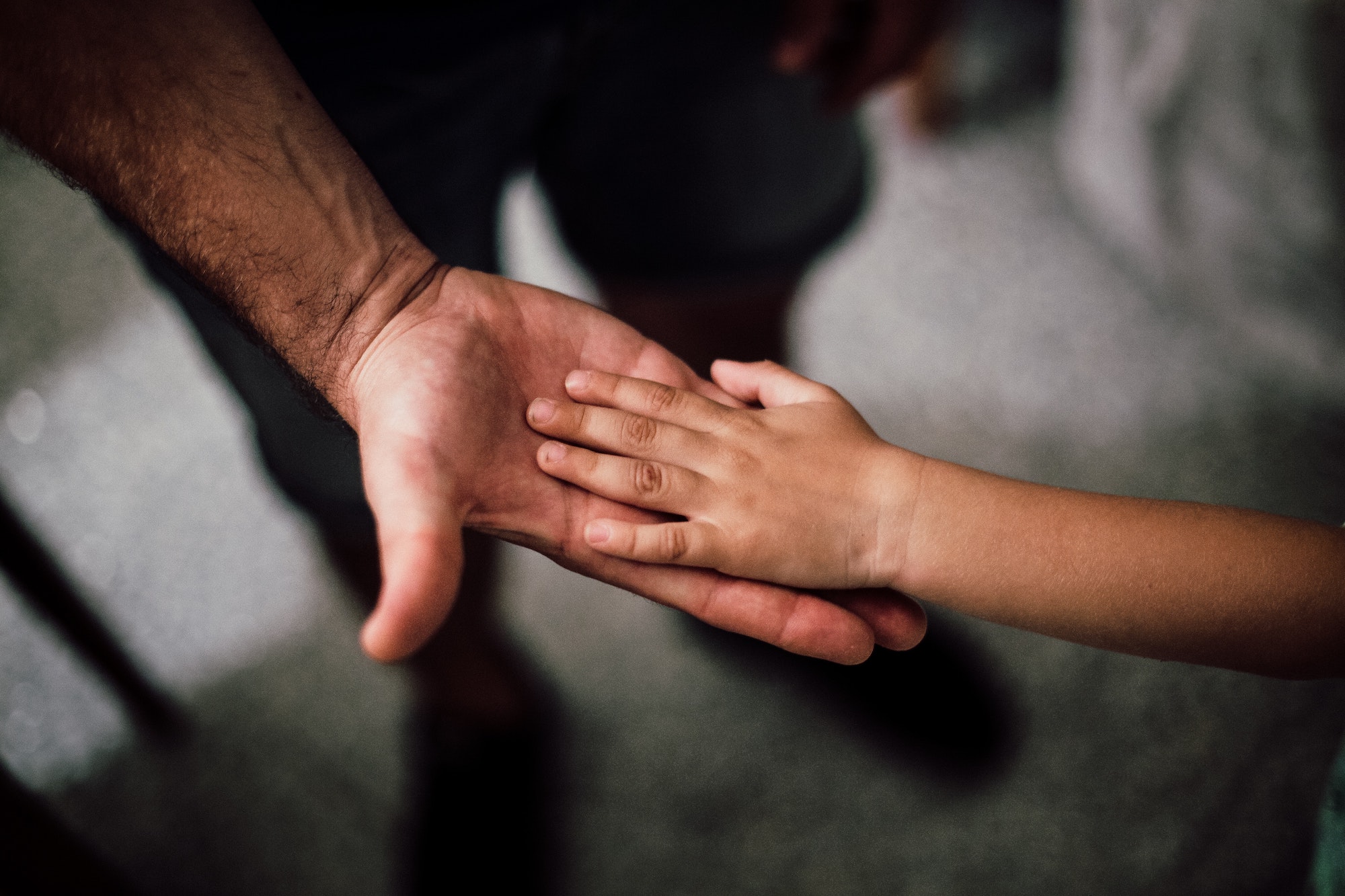Grown up hand and child hand