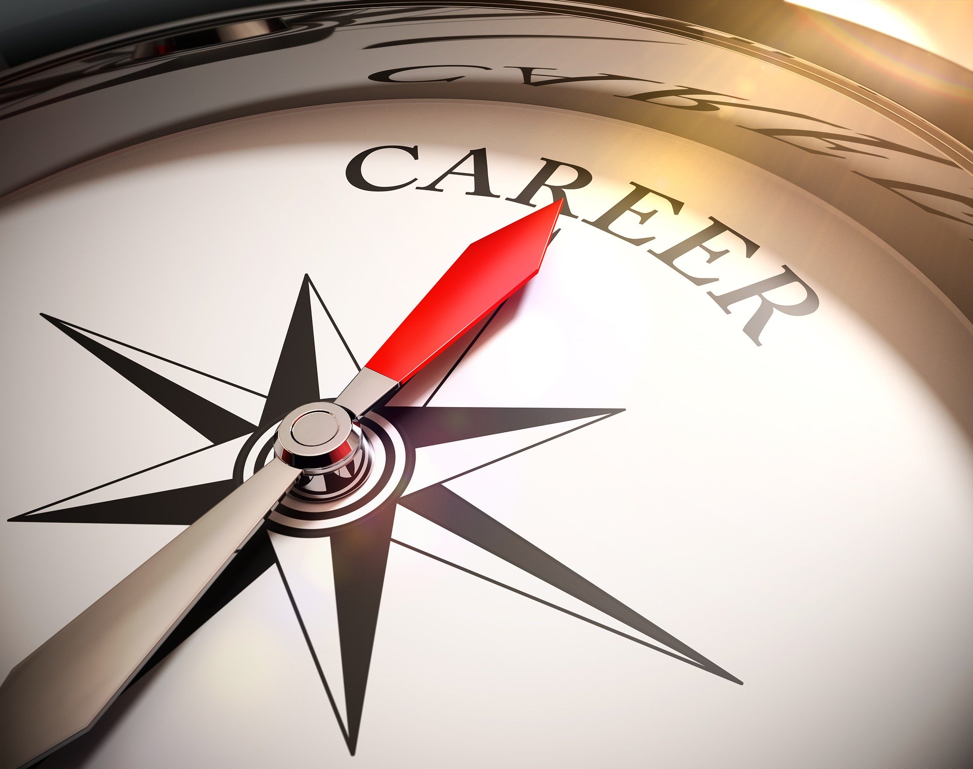 Compass pointing at career