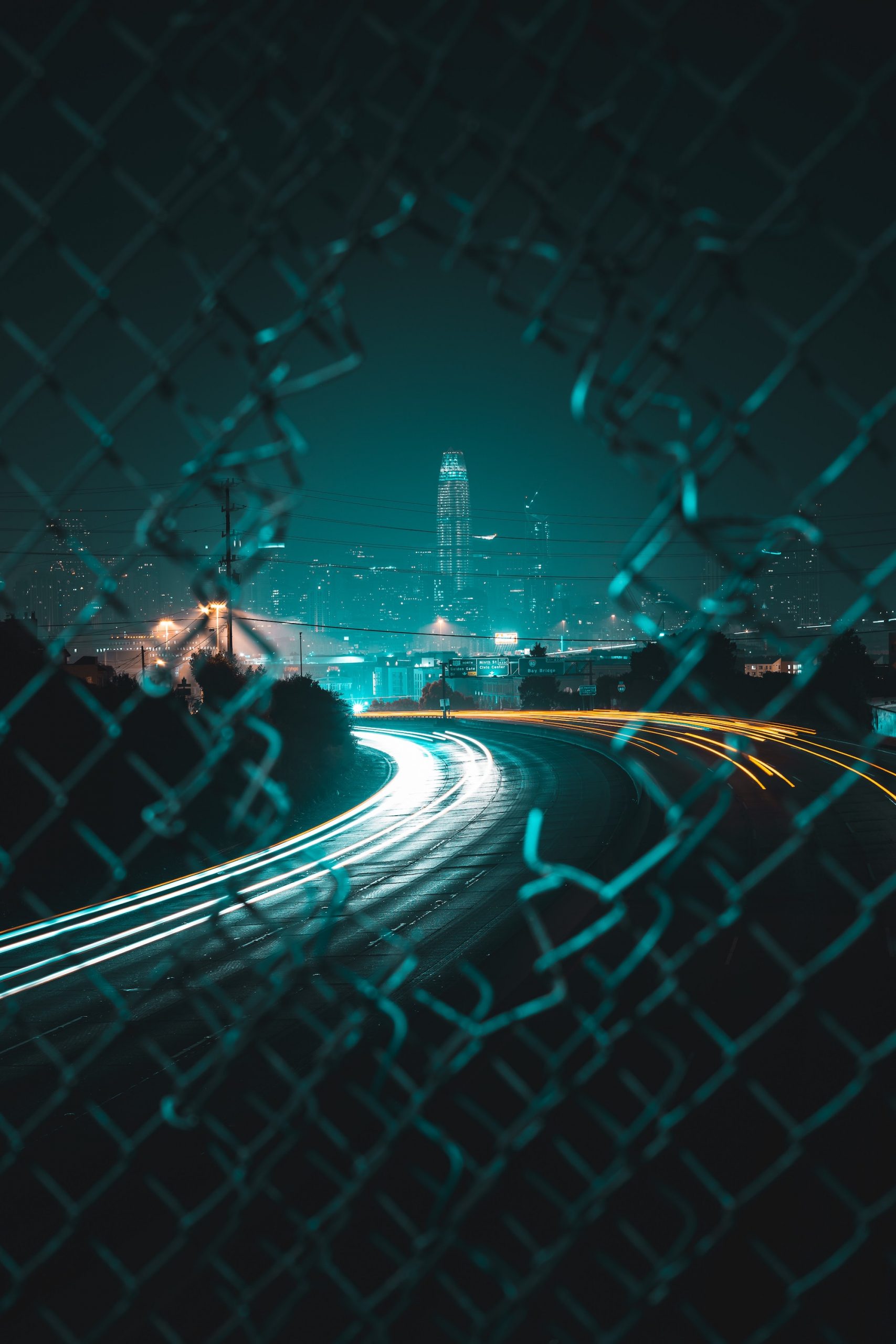 Fence and cityscape