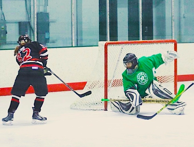 12 Days Of Charitable Giving 2020: Halftime Gear | Taxgirl # hockey