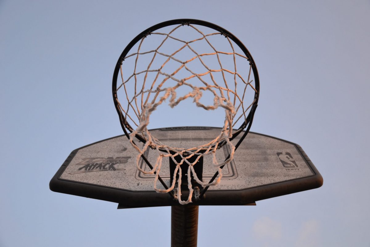 basketball net