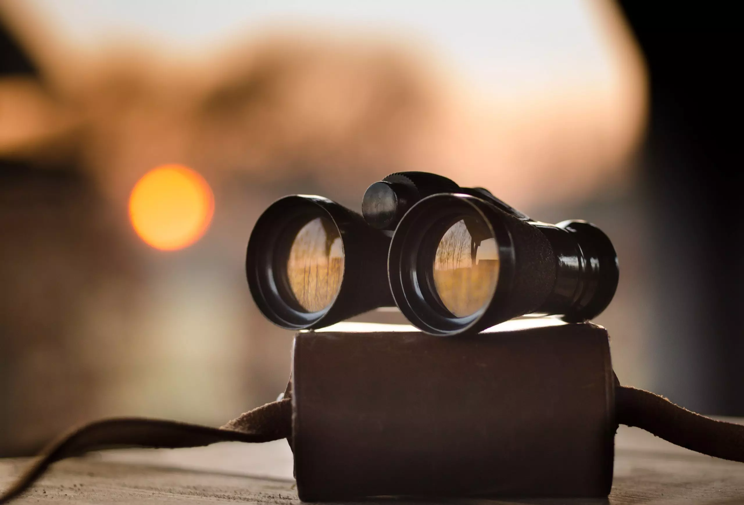 Looking For Recent Taxgirl Articles?