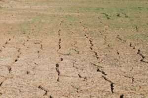 Very dry ground