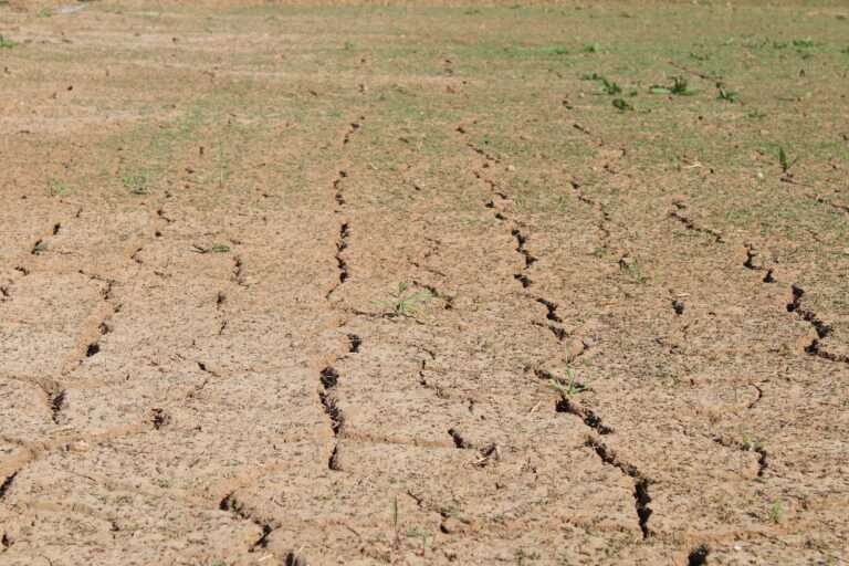 Very dry ground