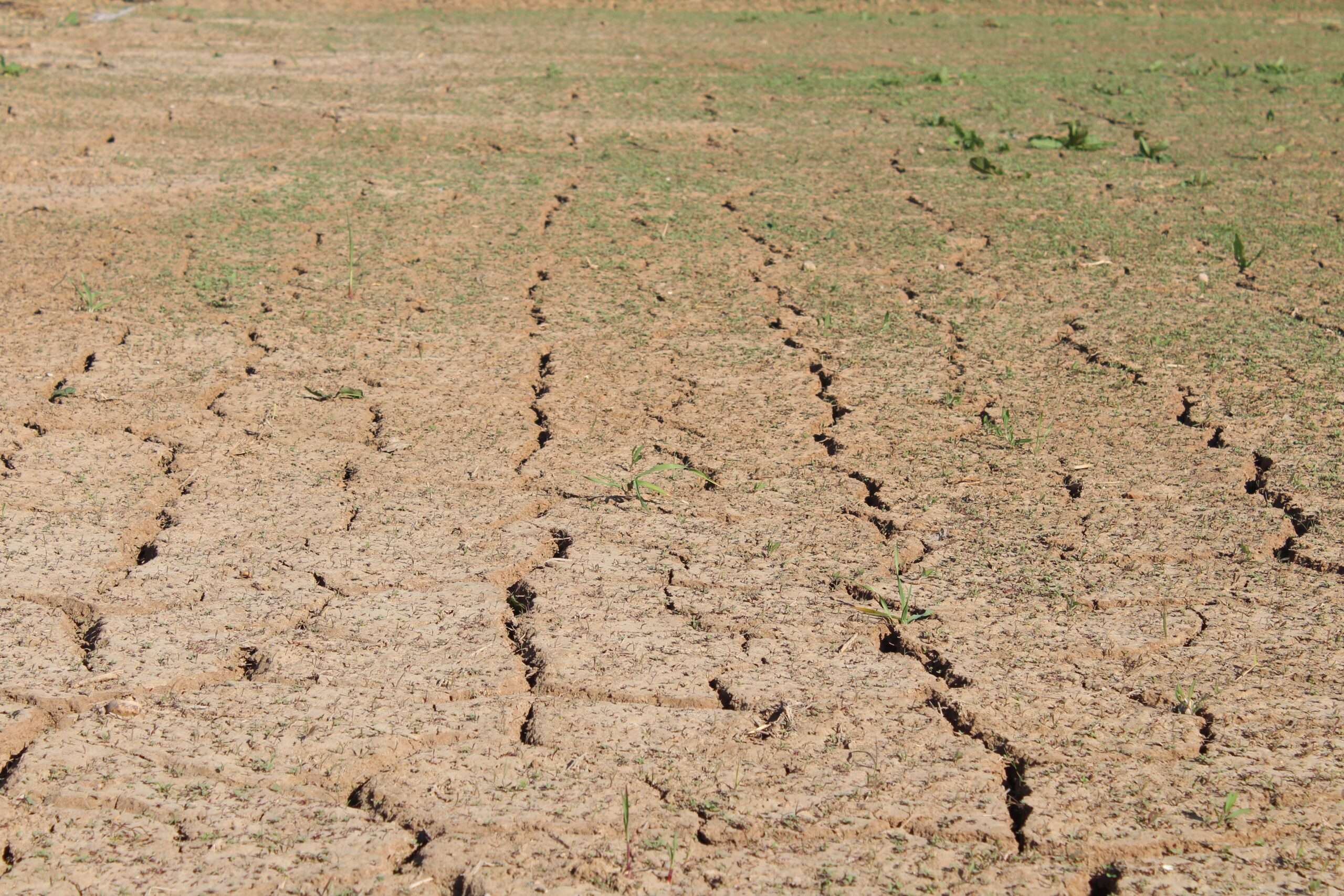 Very dry ground
